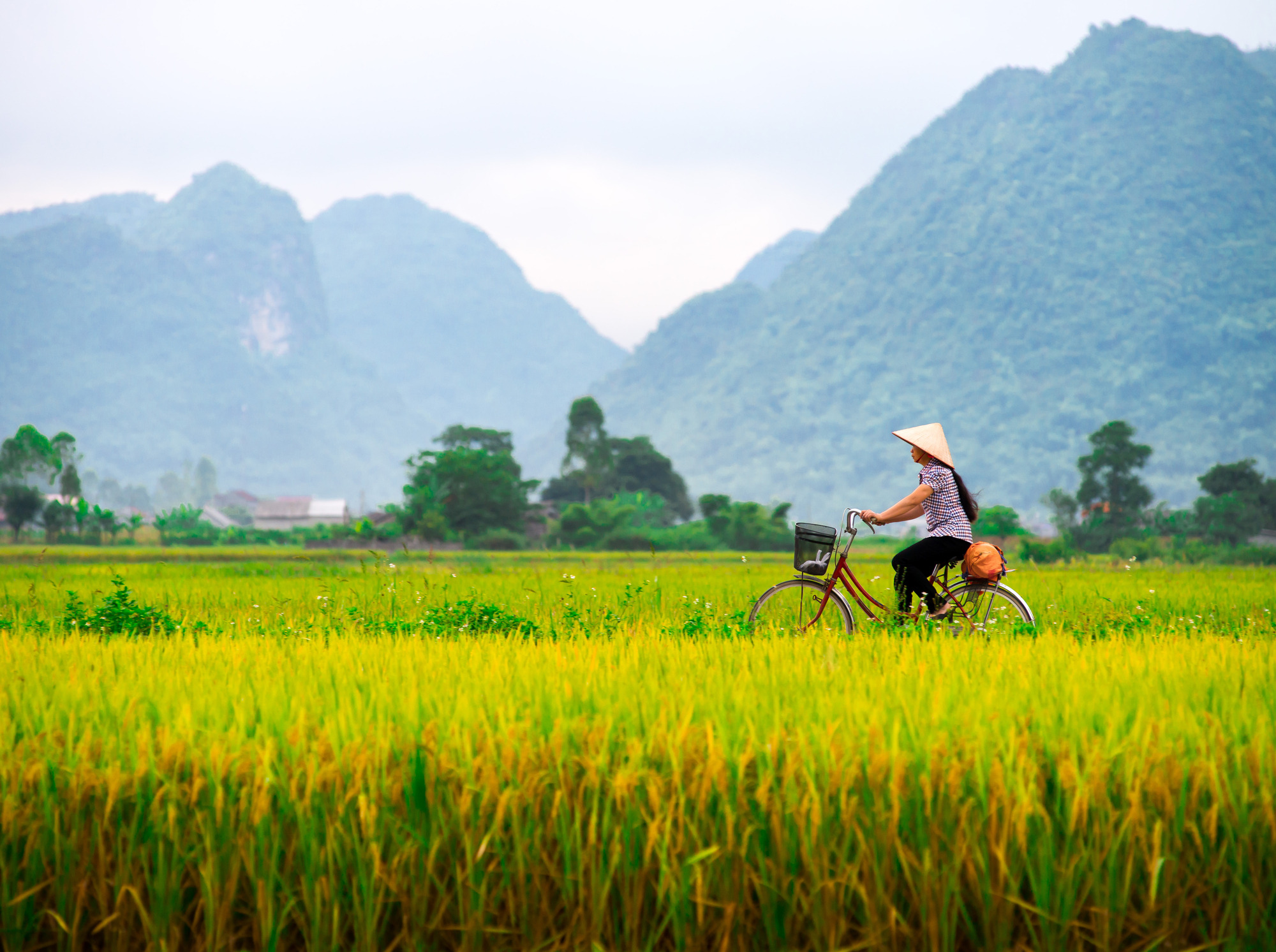 Review: 'The Mountains Sing,' by Nguyen Phan Que Mai